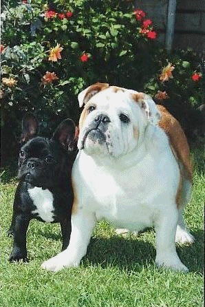 oscar4.gif
